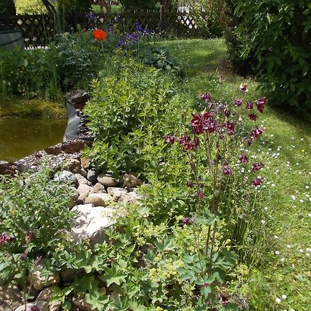 Haus Wiesengrund - Hundefreundlich Gammertingen ภายนอก รูปภาพ