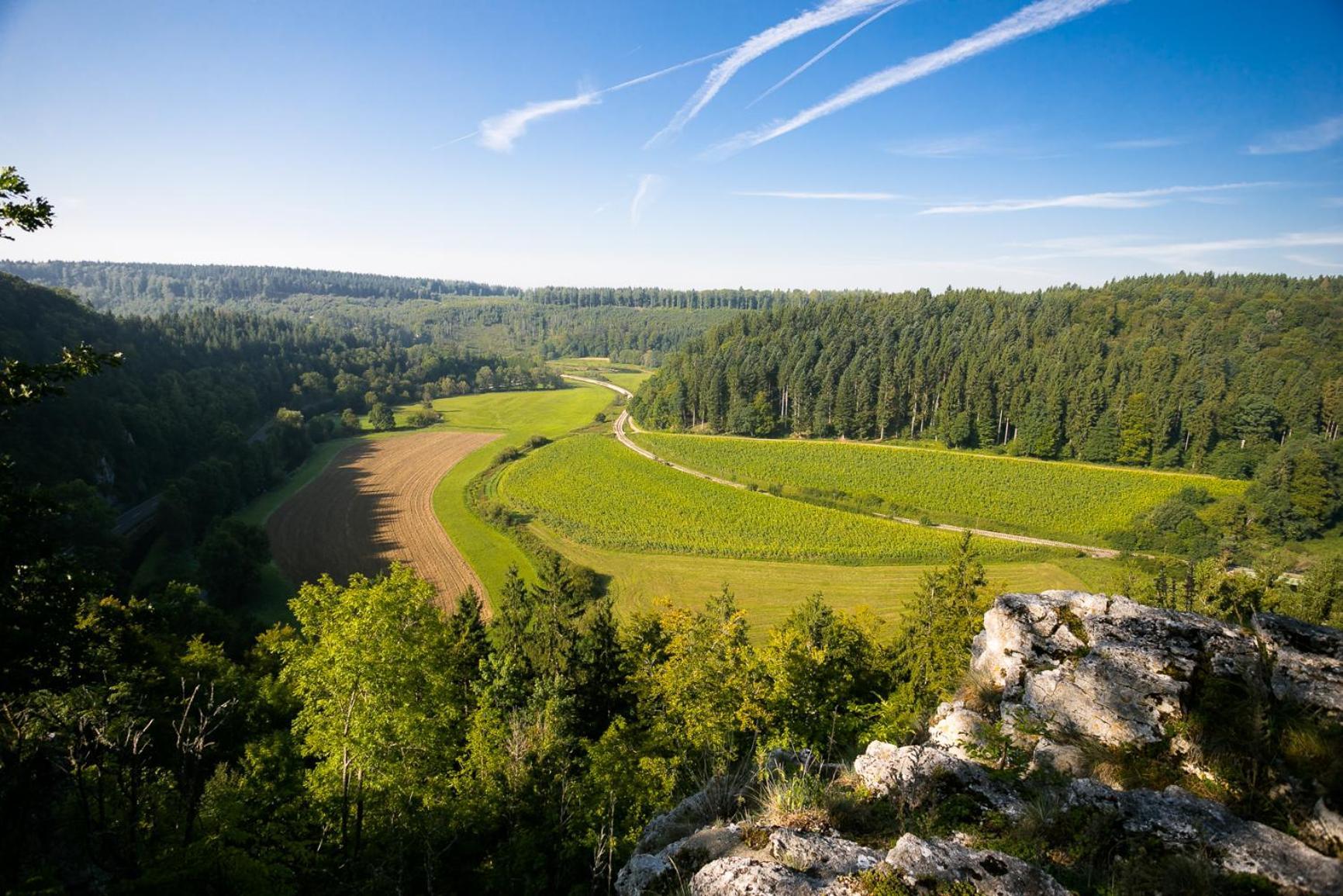 Haus Wiesengrund - Hundefreundlich Gammertingen ภายนอก รูปภาพ